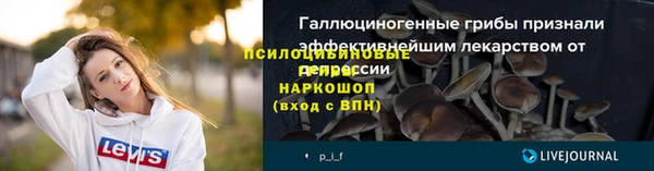 бошки Новозыбков