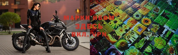 амф Нея