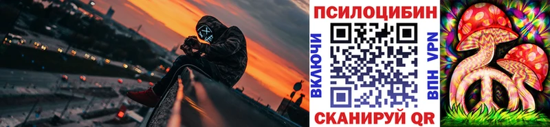 mega ссылки  Кемь  Псилоцибиновые грибы мицелий 